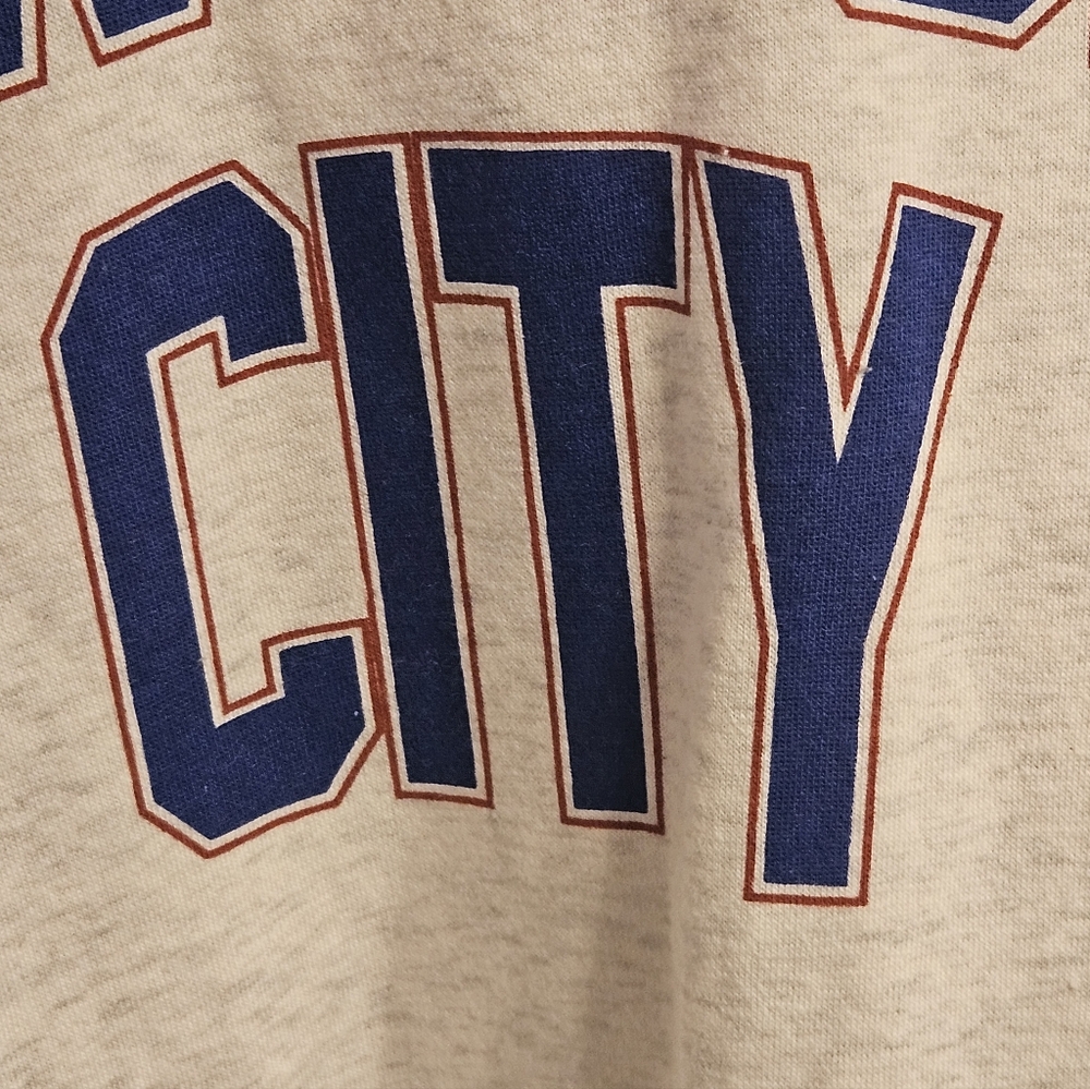 LoThe Laundry Room New York City Fan Hideout Hoodie Size M - Picture 11 of 11